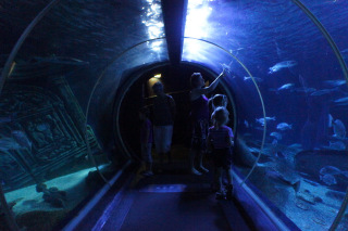 SeaLife pod Paryżem