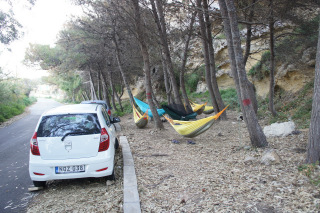 Nocleg pod piniami