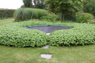 Trampolina w ogródku