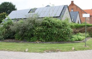 Dom pasywny