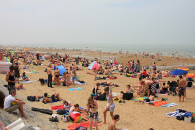 Plaża w Oostendzie