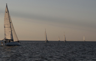 Płyniemy do Rimini
