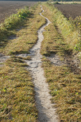 Ścieżka przez pola czyli miedzą do celu