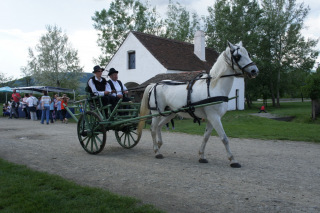 Bryczka w skansenie w Szentendre